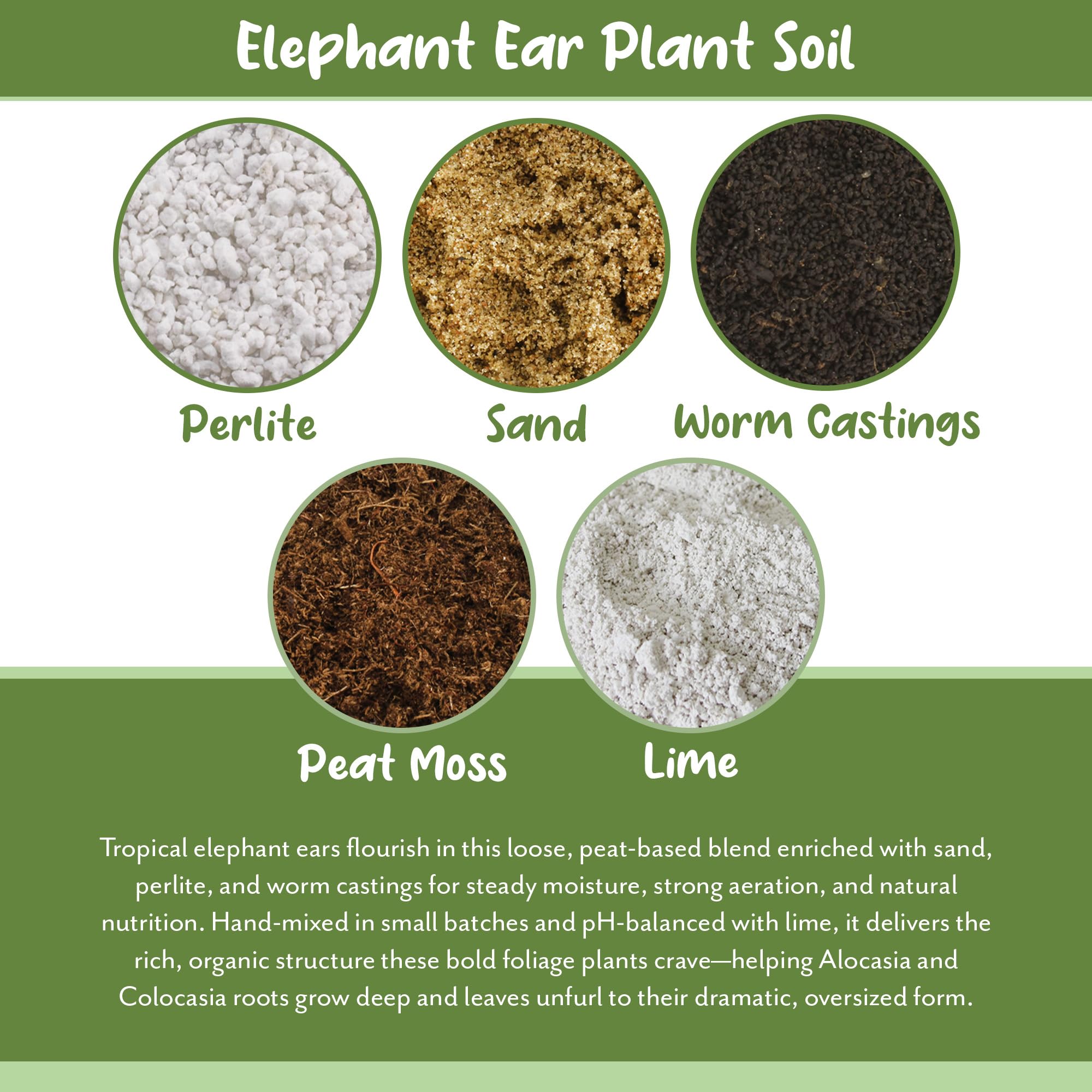 Soil Sunrise container garden setup with elephant ear demonstrates versatile indoor/outdoor use