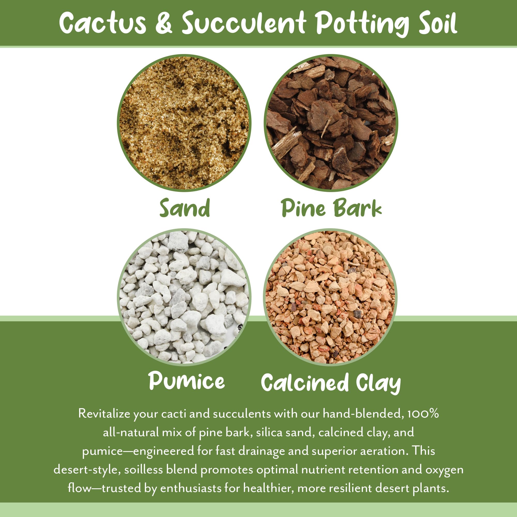 Soil Sunrise container gardening with a 12 inch pot shows easy care