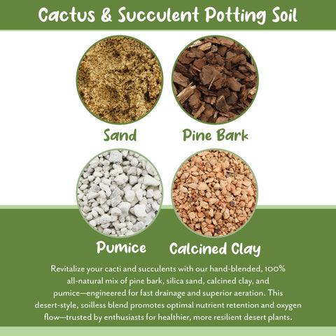 Soil Sunrise container gardening with a 12 inch pot shows easy care