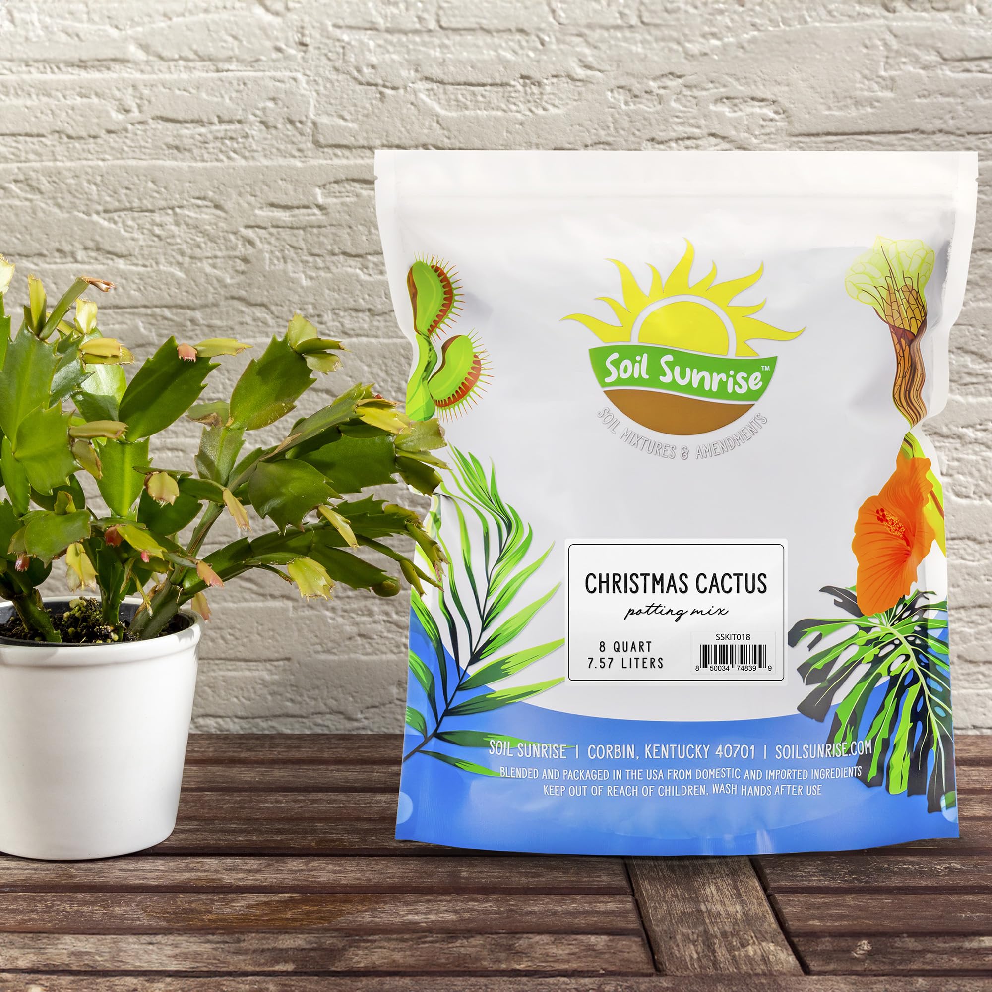 Soil Sunrise custom blend for indoor cactus repotting supports thriving container growth.