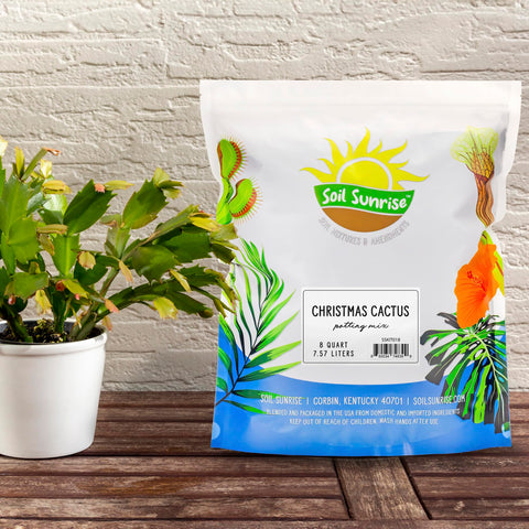 Soil Sunrise custom blend for indoor cactus repotting supports thriving container growth.
