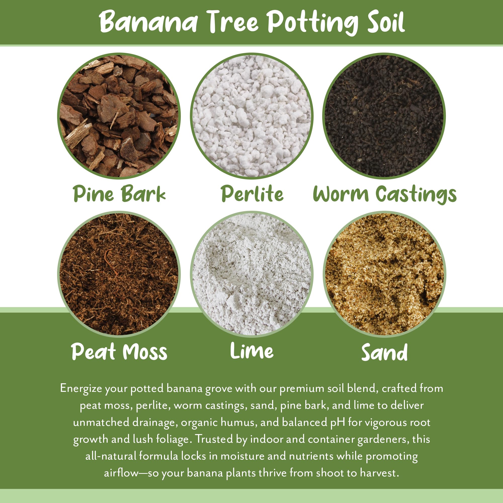 Soil Sunrise drainage demo shows quick water drainage from the potting mix.