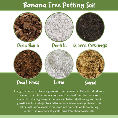 Soil Sunrise drainage demo shows quick water drainage from the potting mix.