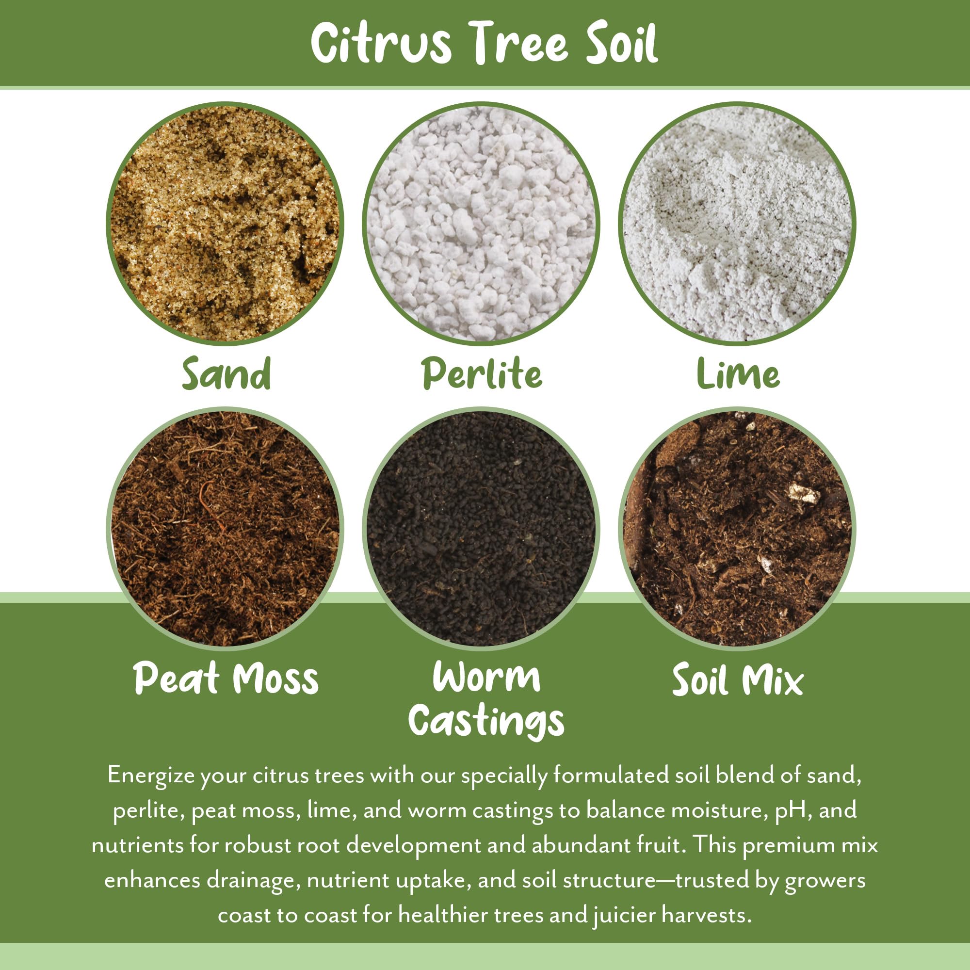 Soil Sunrise drainage pathways illustrate effective water exit for healthy roots