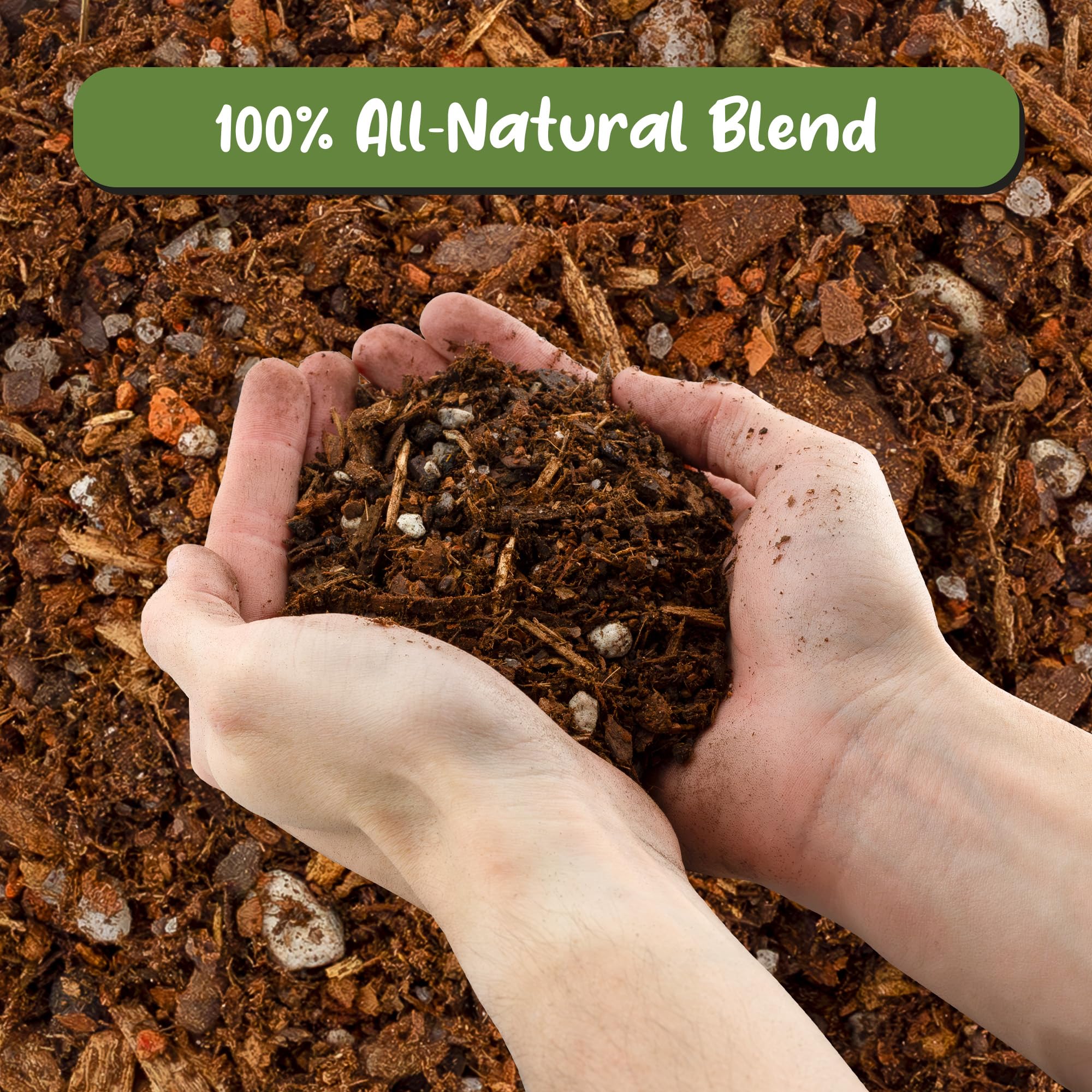 Soil Sunrise fast-draining texture shown to promote healthy root aeration