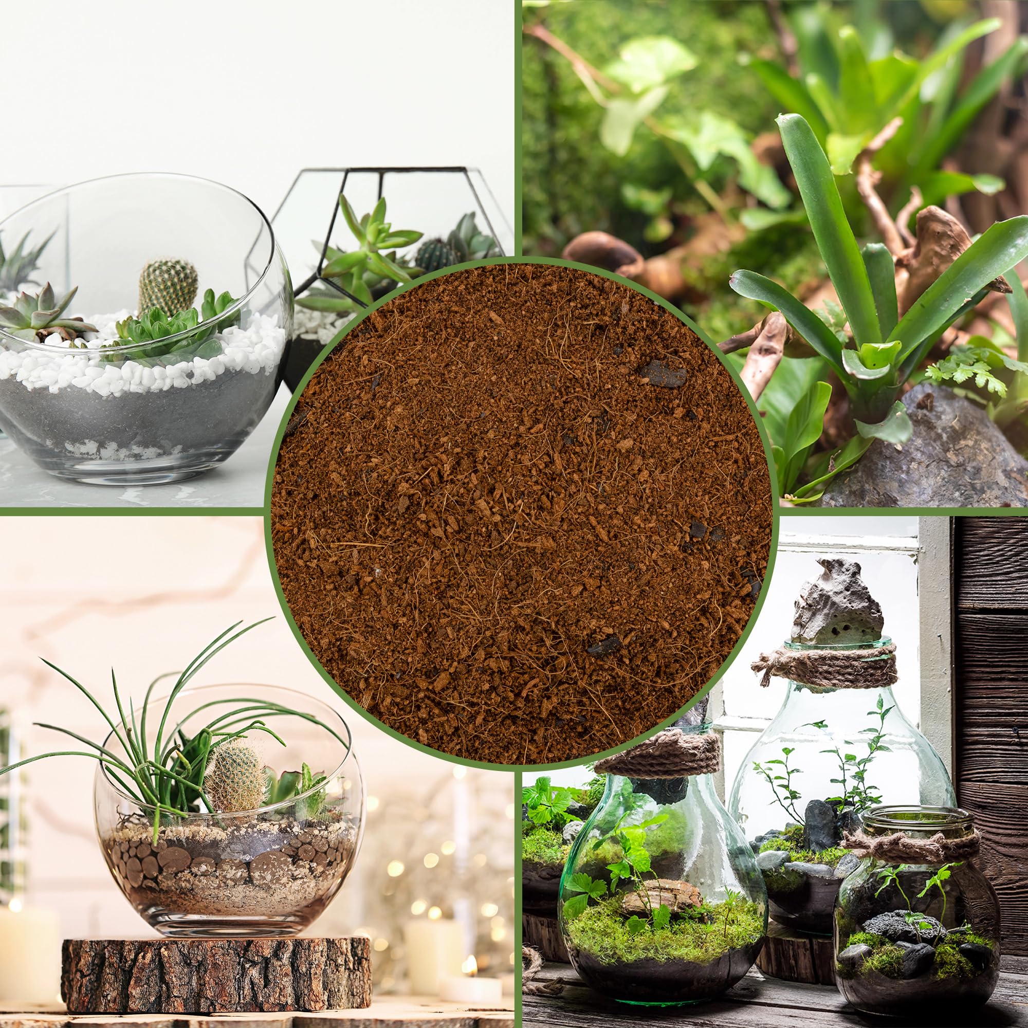 Soil Sunrise glass terrarium setup demonstrates layered soil for thriving plants.