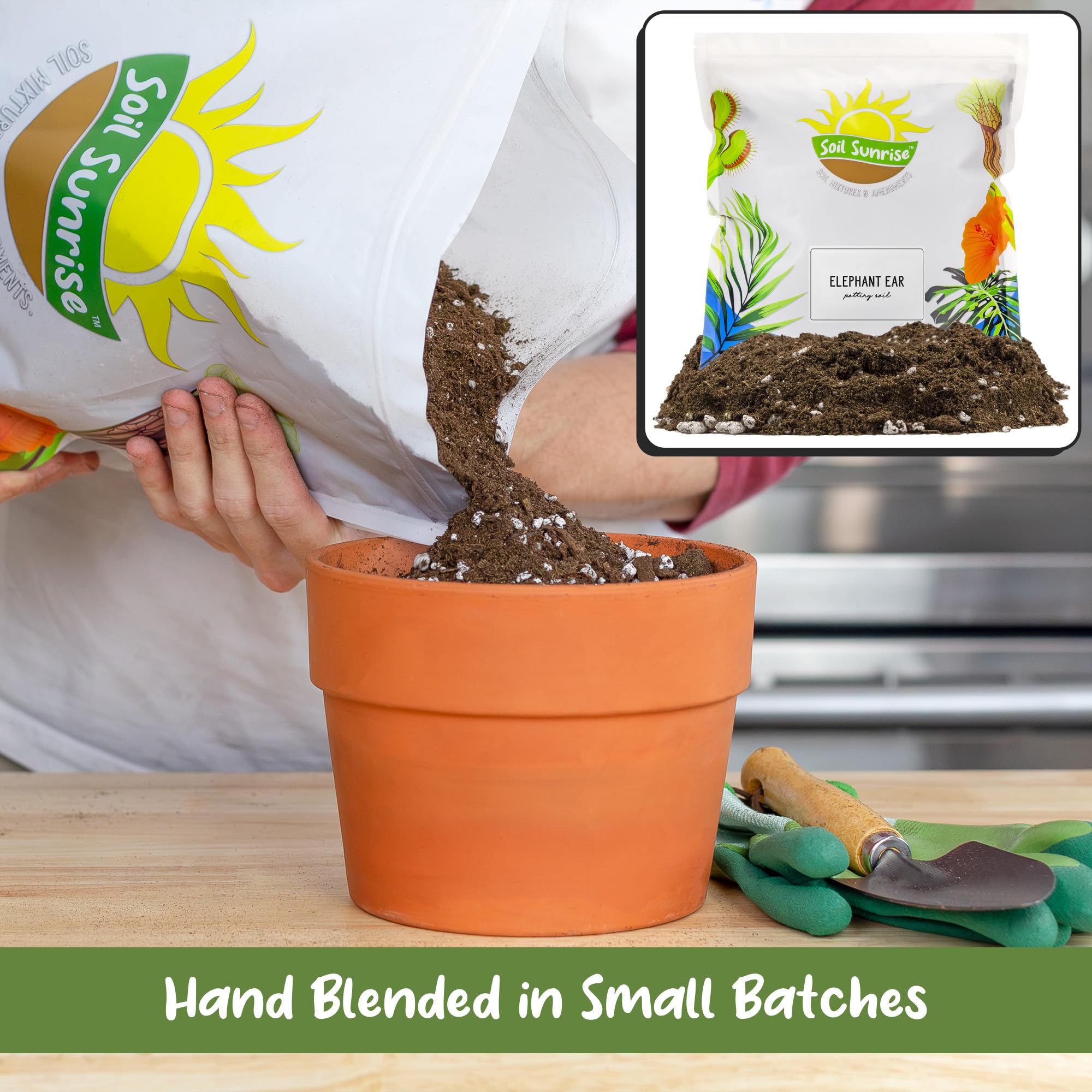 Soil Sunrise mix provides good drainage in pots for healthy elephant ear growth