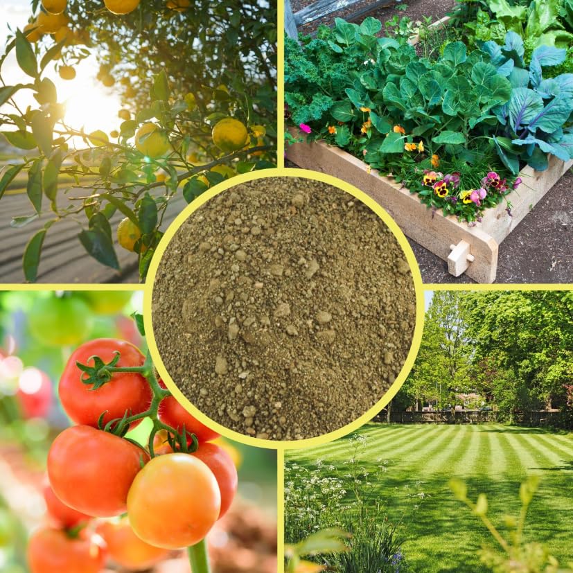 Ideal for herbs, vegetables, and lawns in containers.