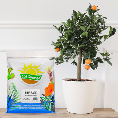 Soil Sunrise half-inch pine bark mulch chips for terrariums and moisture retention.
