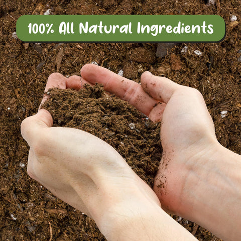 Soil Sunrise Anthurium repotting hand-use shot demonstrates easy transfer.