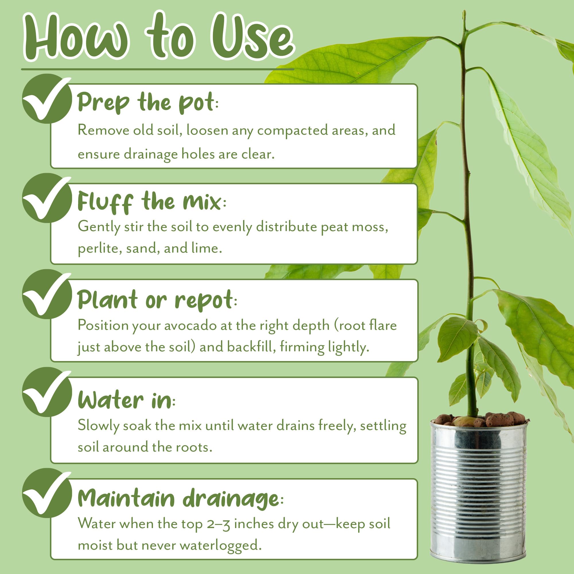 Soil Sunrise hands potting avocado seedling in a container.