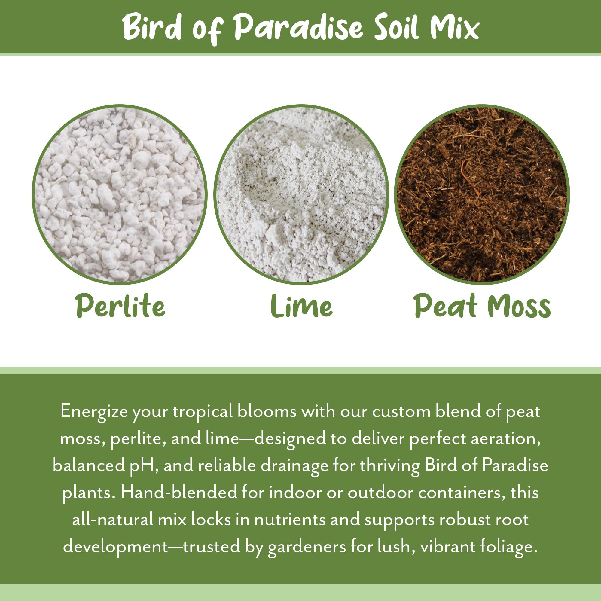 Soil Sunrise supports Bird of Paradise leaves looking vibrant and lush.