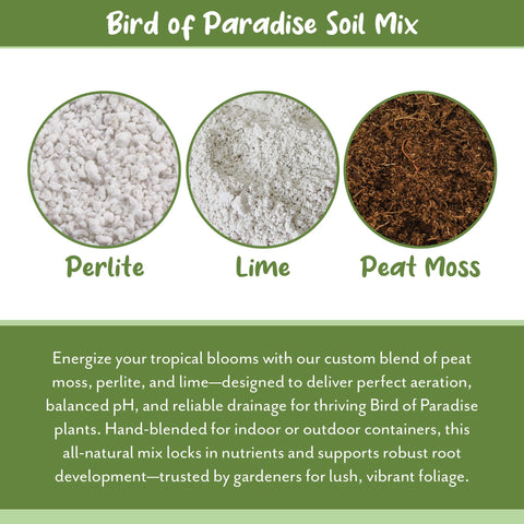 Soil Sunrise supports Bird of Paradise leaves looking vibrant and lush.