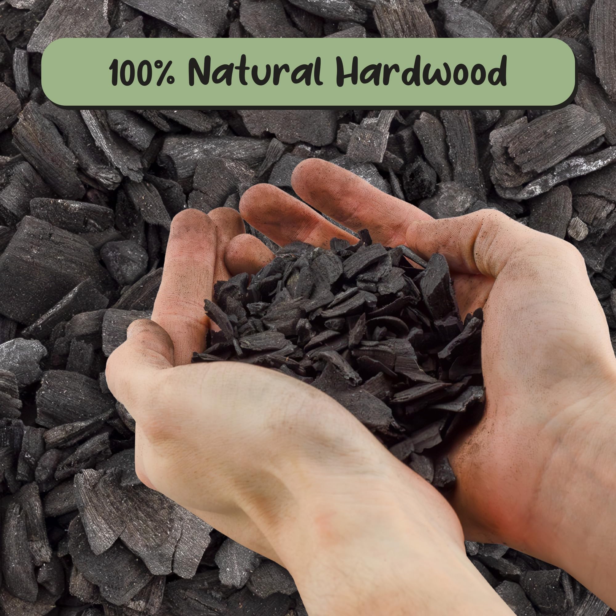 Soil Sunrise orchid pot with charcoal improves drainage