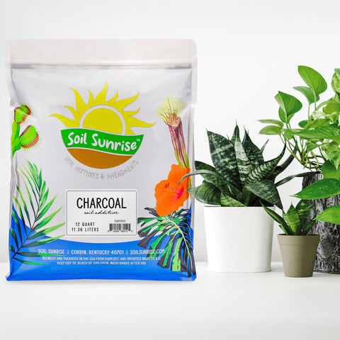 Soil Sunrise horticultural charcoal being added to a pot for better drainage