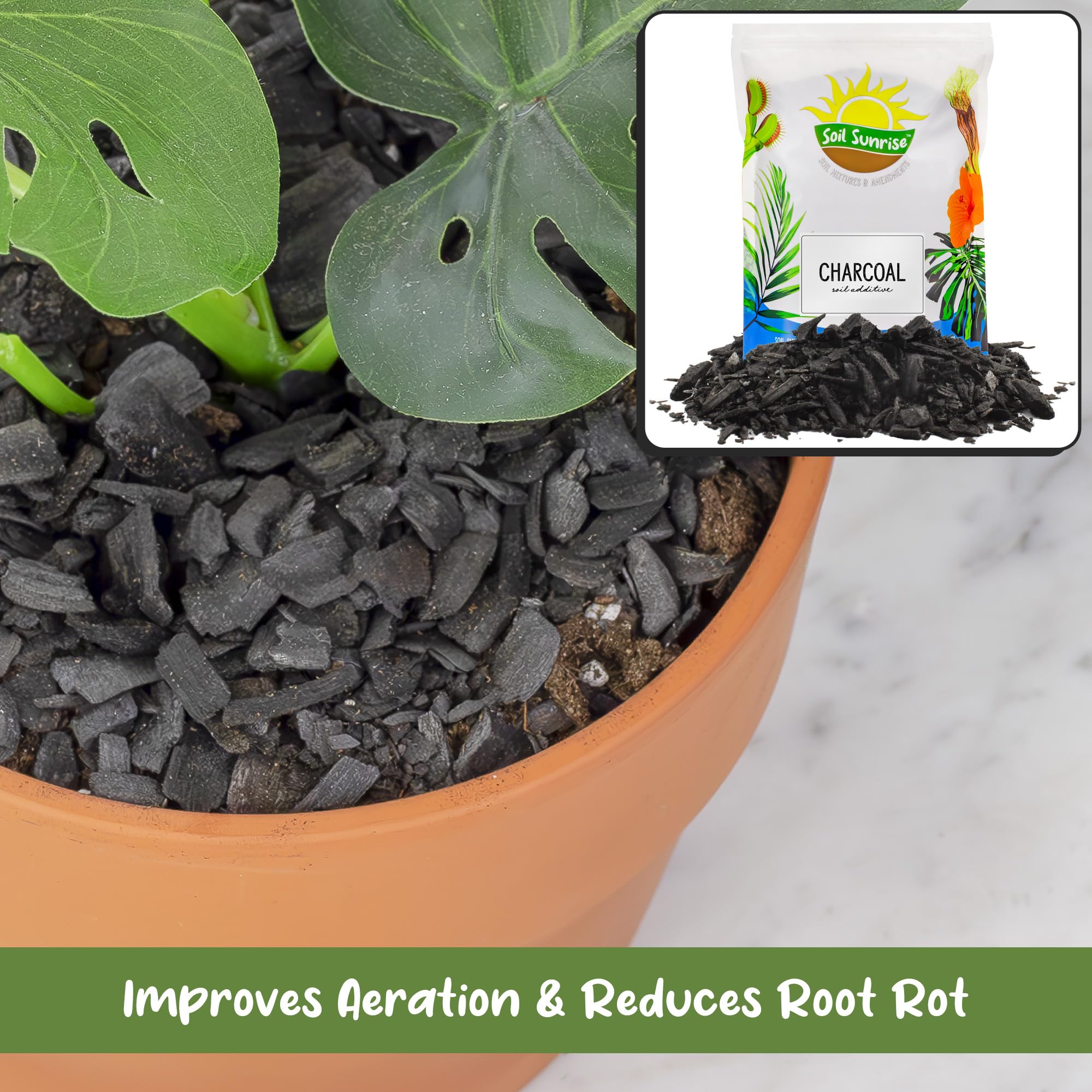 Soil Sunrise terrarium substrate with charcoal layers promotes humidity balance