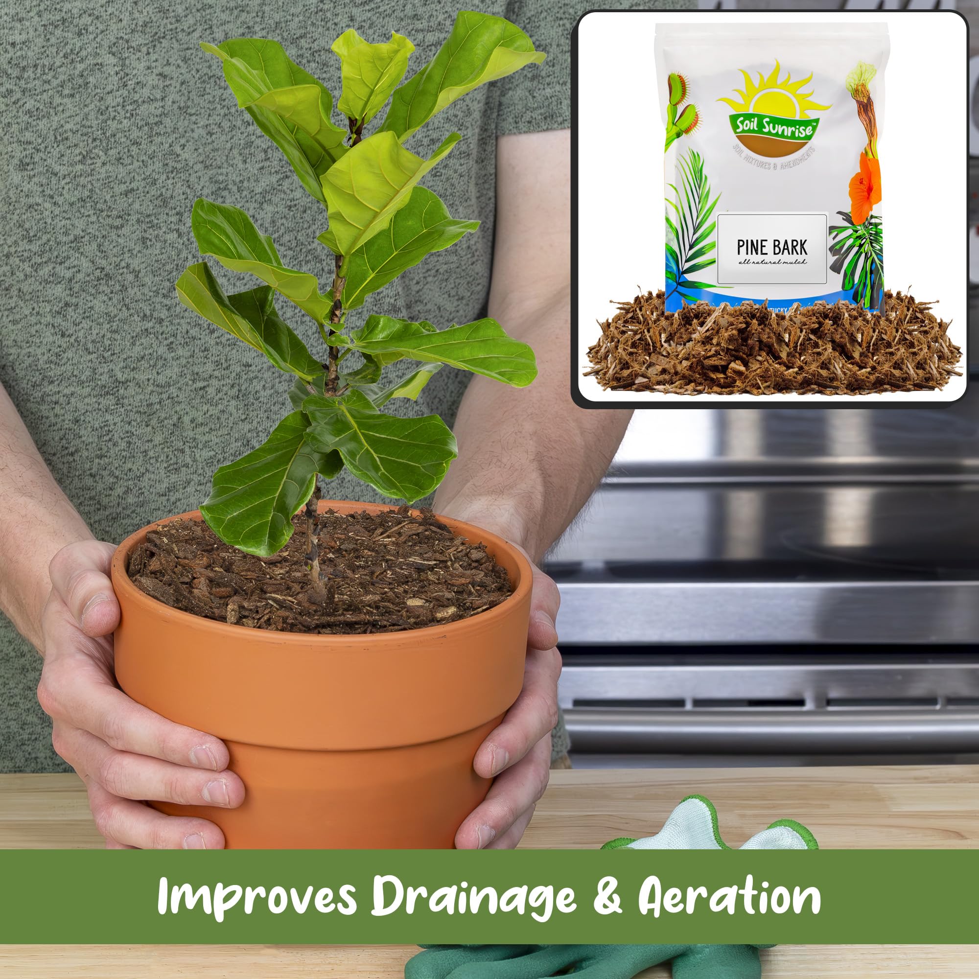 Soil Sunrise houseplant display with natural pine bark mulch topping.