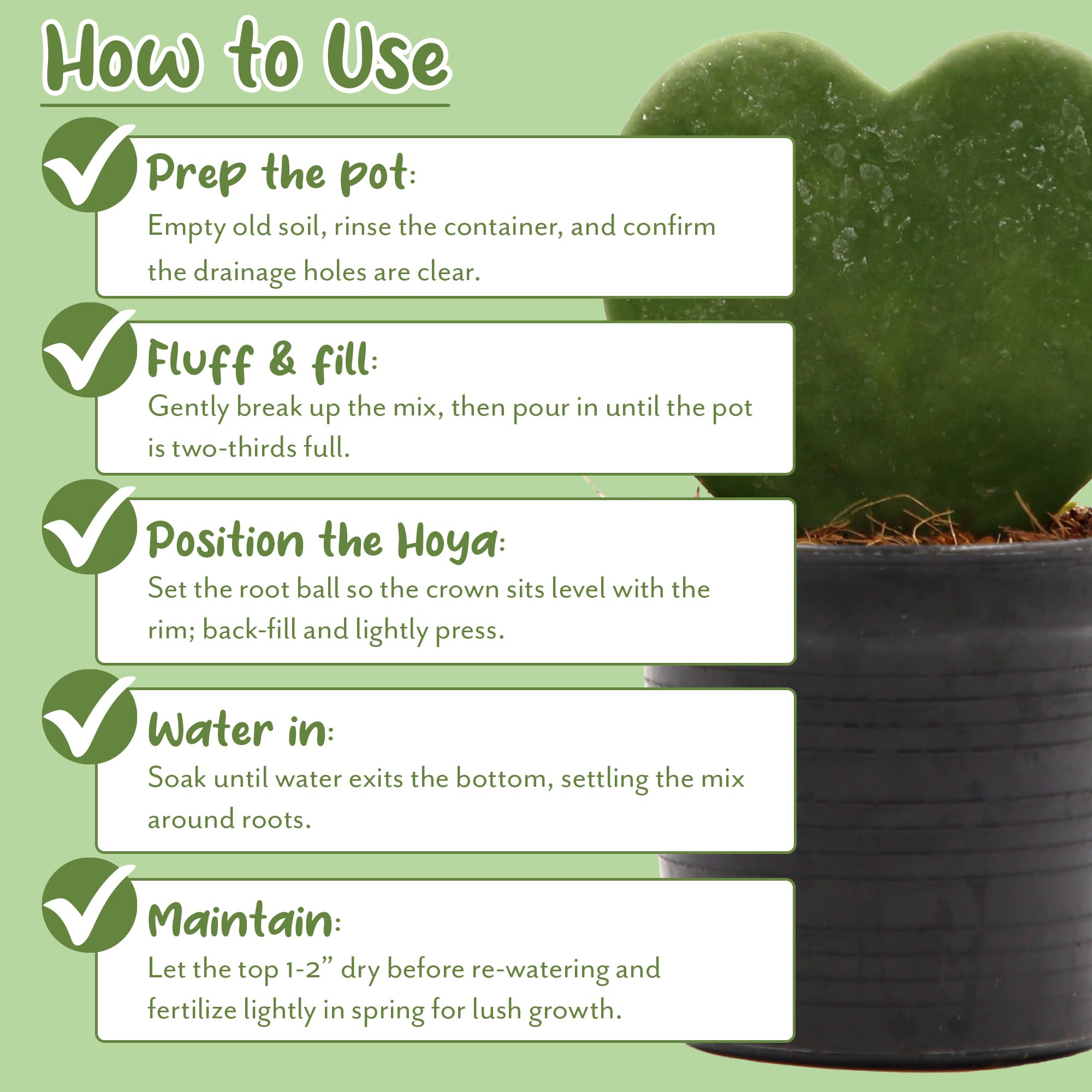 Soil Sunrise Hoya lime detail helps pH balance for tropical houseplants