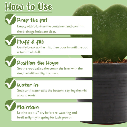 Soil Sunrise Hoya lime detail helps pH balance for tropical houseplants