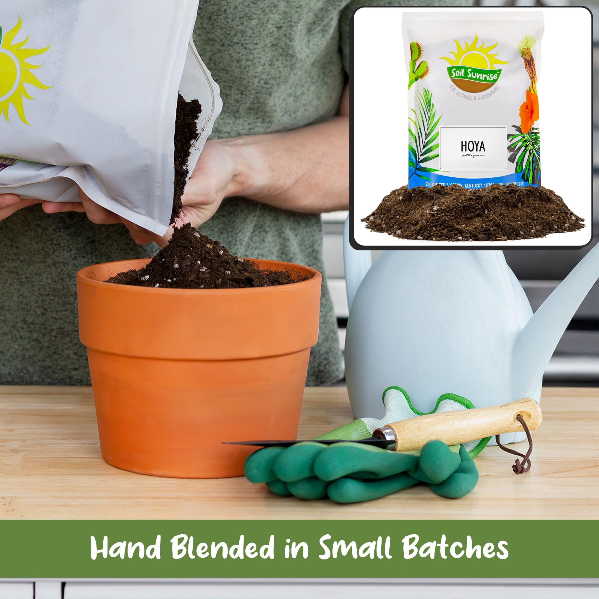 Soil Sunrise Hoya potting soil perlite detail improves drainage and root aeration
