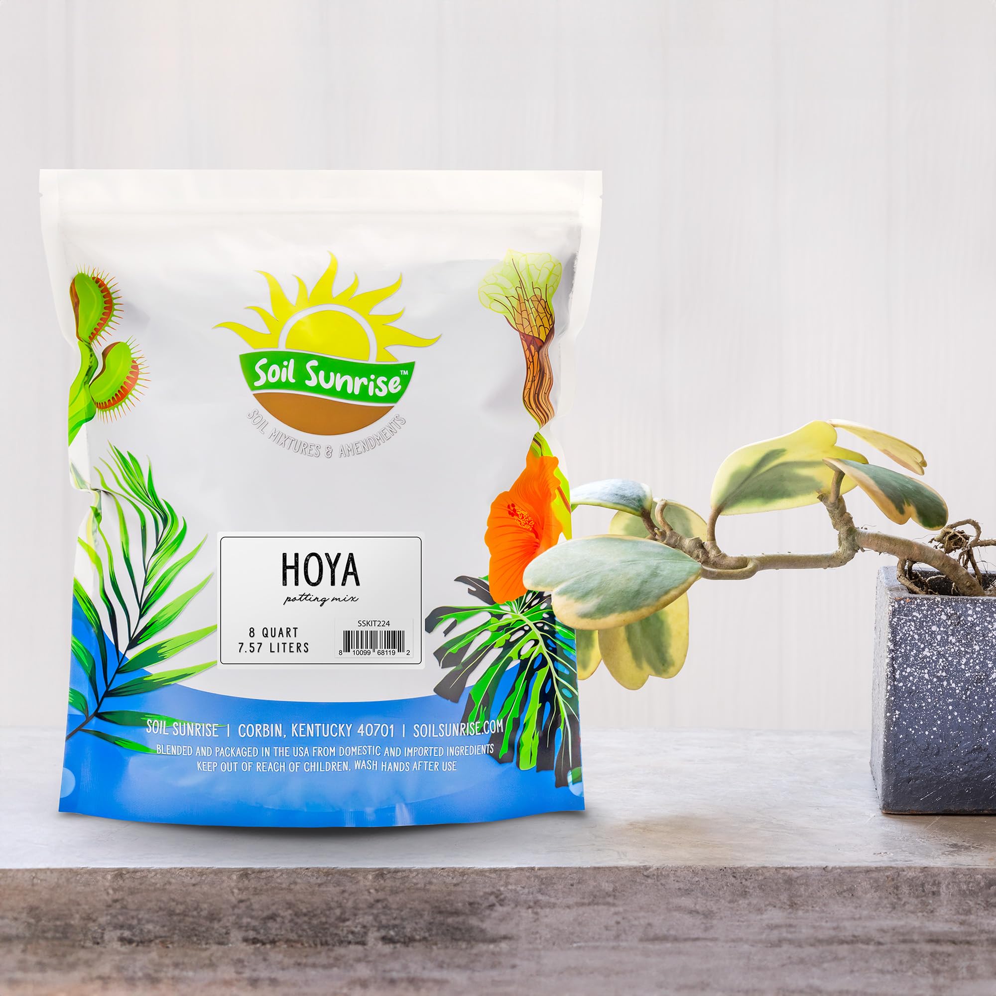 Soil Sunrise Hoya soil texture closeup supports aeration and nutrient retention
