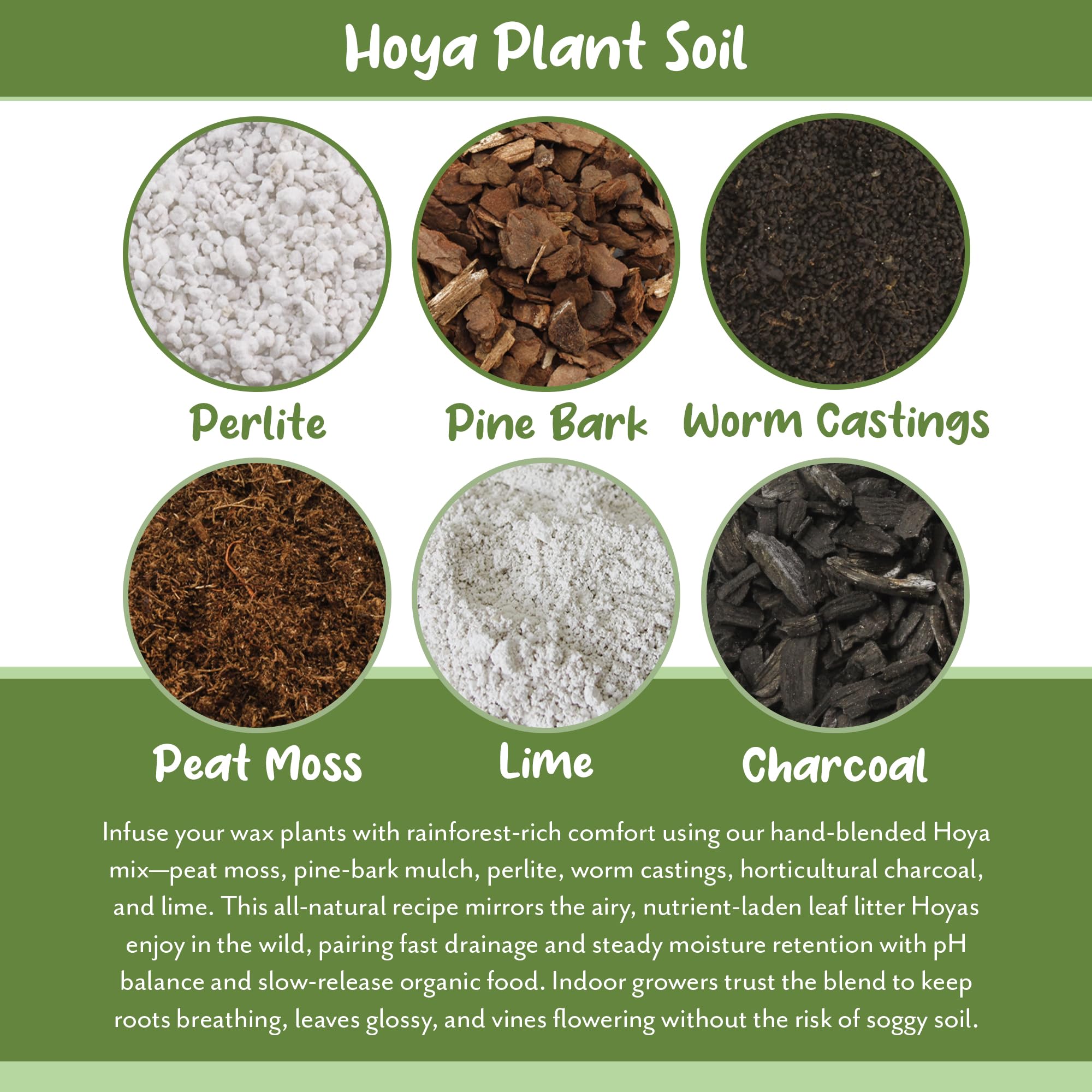 Soil Sunrise Hoya worm castings detail adds organic nutrients for healthy growth
