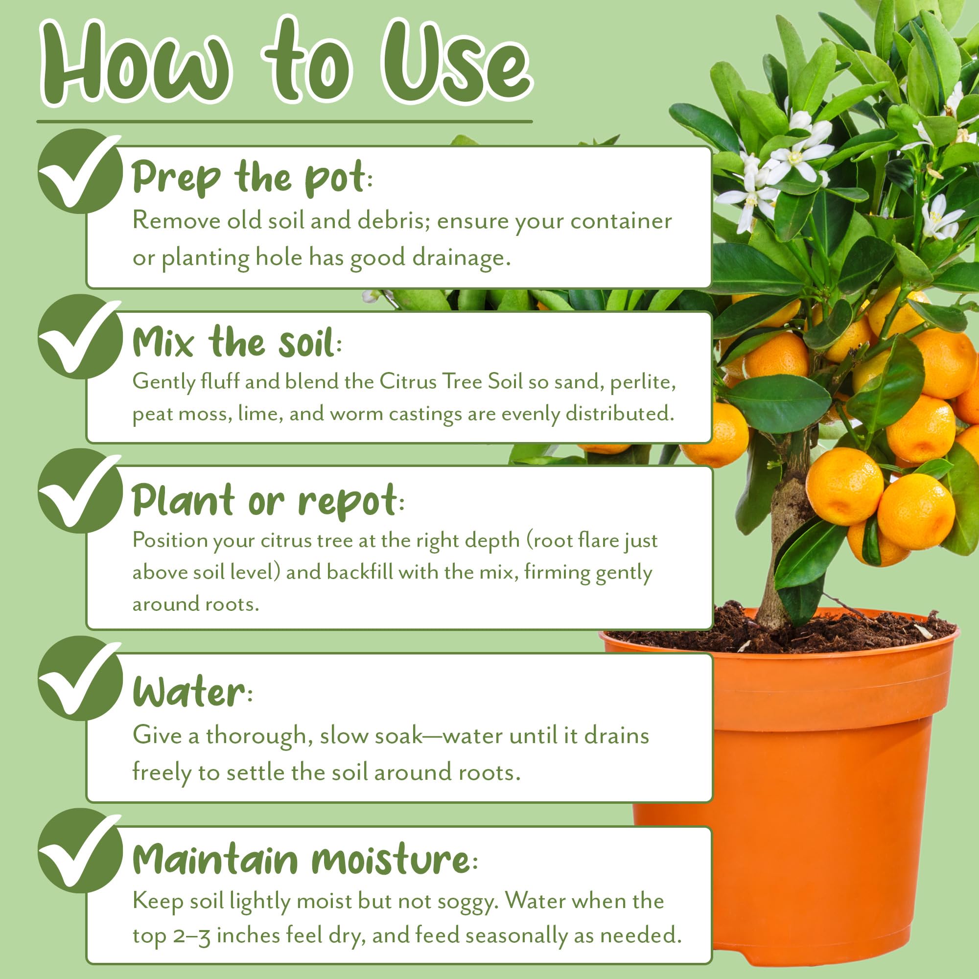 Soil Sunrise improved aeration and drainage for container citrus.
