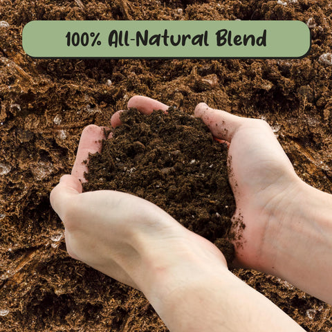 Soil Sunrise indoor banana pot demonstrates using the mix for healthy growth.