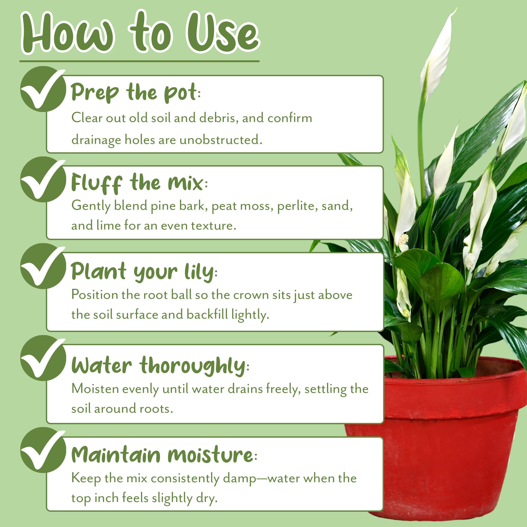 Soil Sunrise indoor garden with Peace Lily in pot.