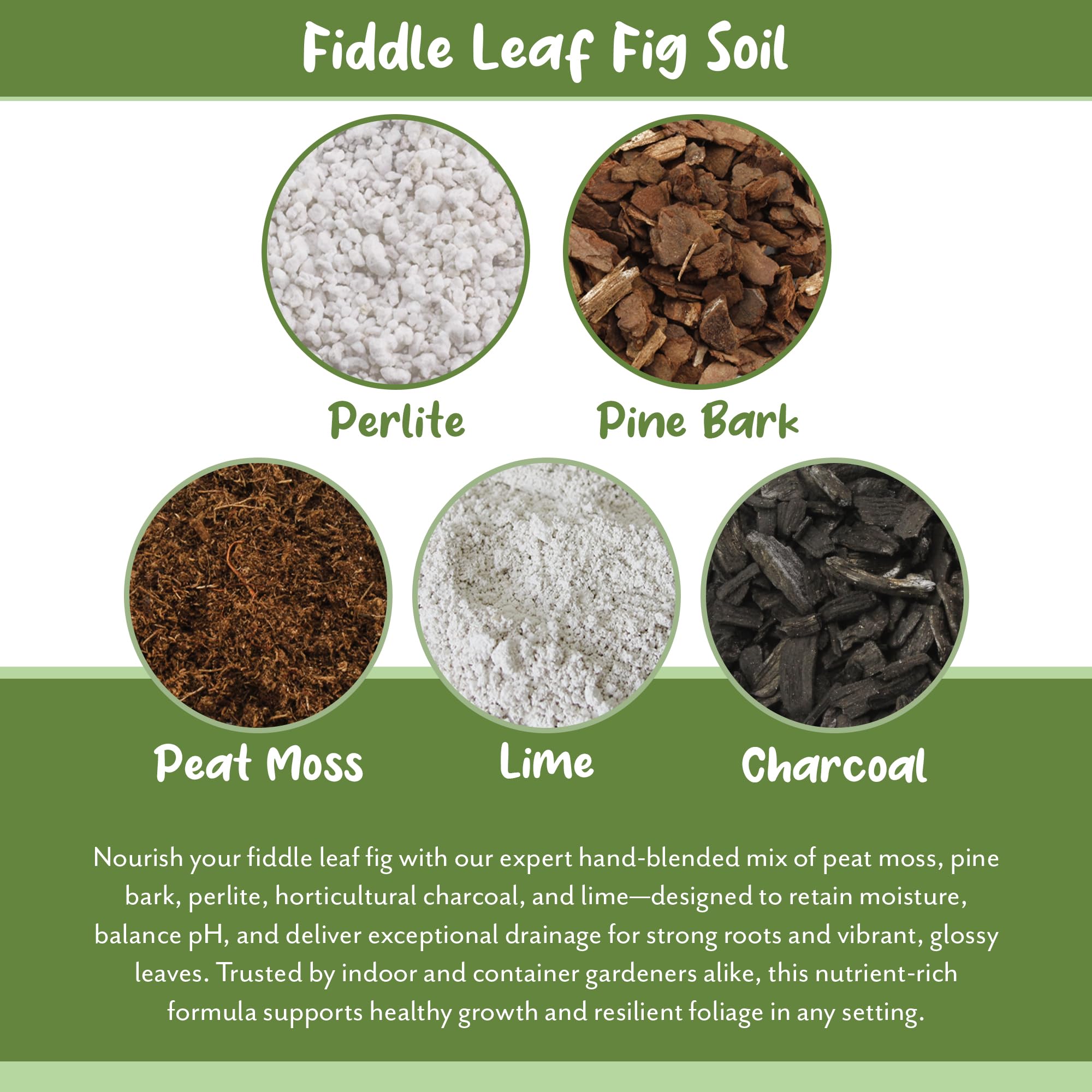 Soil Sunrise Indoor Garden Setup supports lush foliage with even watering