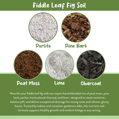 Soil Sunrise Indoor Garden Setup supports lush foliage with even watering