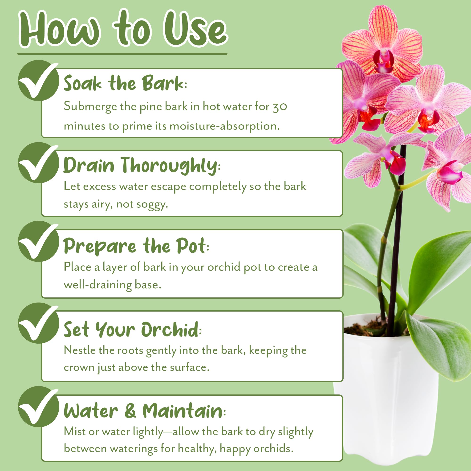 Soil Sunrise Indoor gardening setup with orchid bark for better drainage.