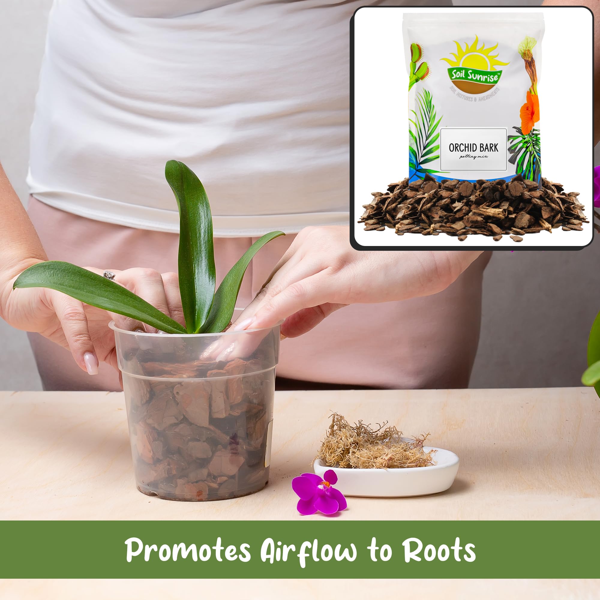 Soil Sunrise indoor-outdoor gardening setup with orchid bark mix for drainage