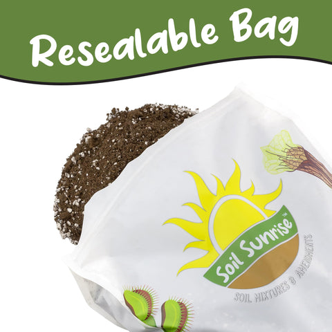 Soil Sunrise indoor repotting scene with avocado thriving in potting mix.
