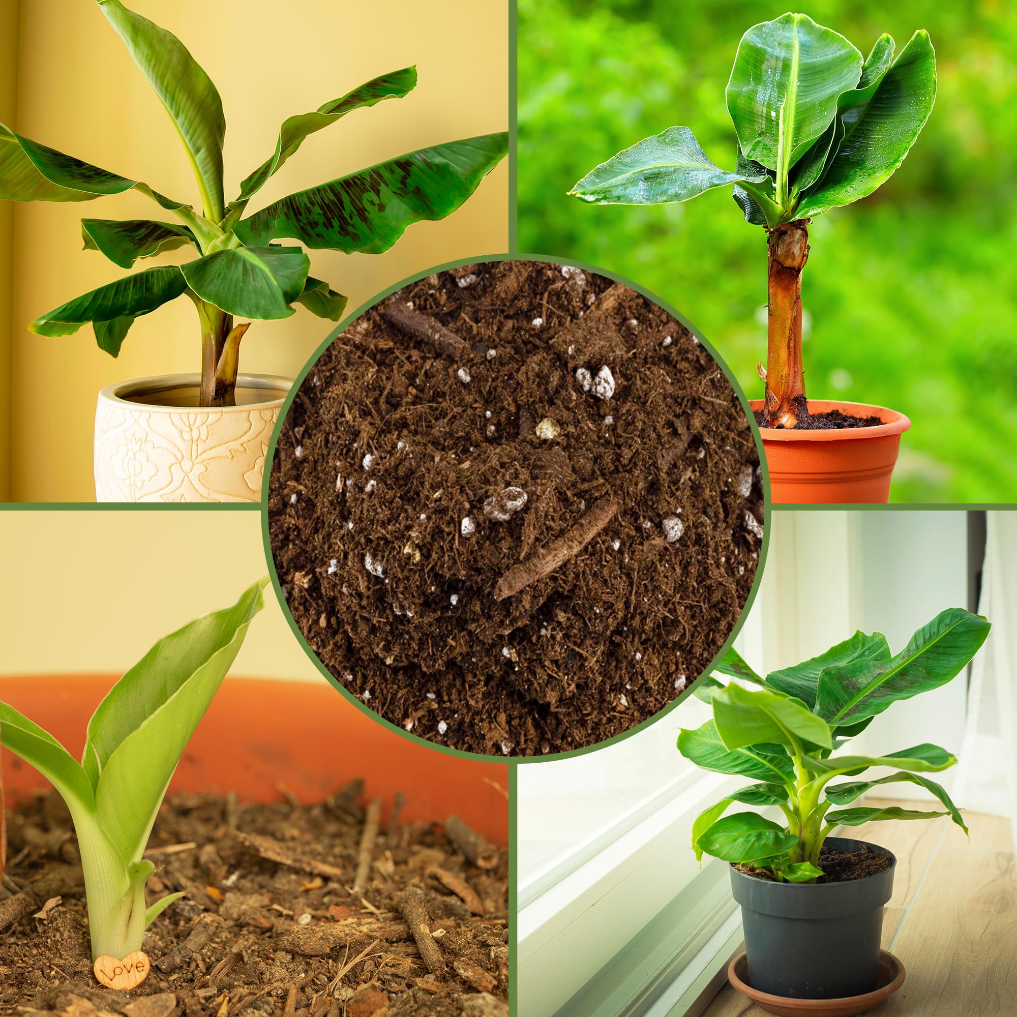 Soil Sunrise ingredients view includes peat moss, perlite, worm castings.