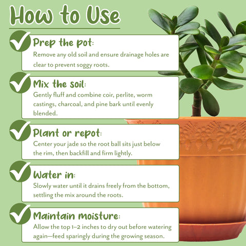 Using Soil Sunrise mix during jade plant potting.