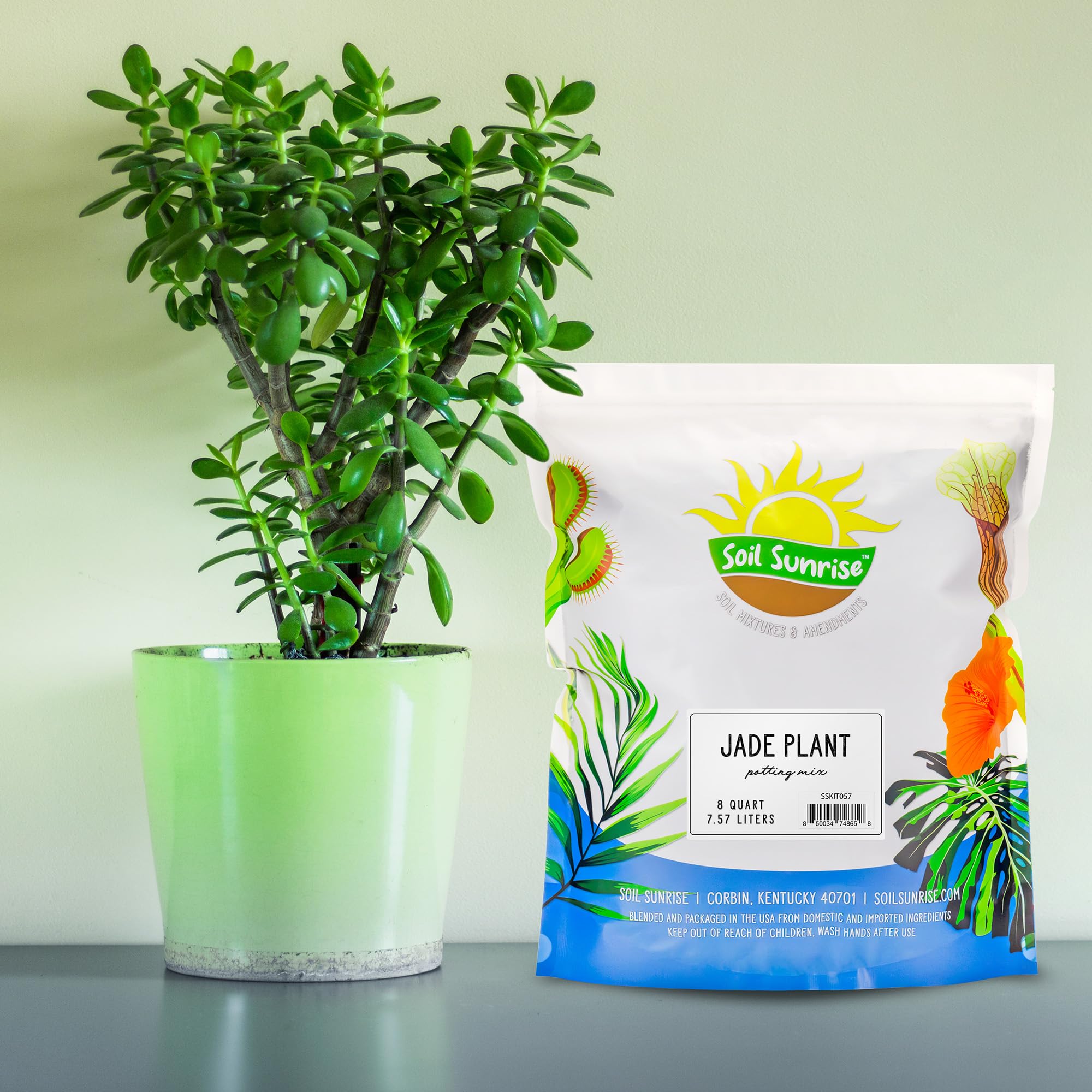 Soil Sunrise Jade Plant mix ingredients close-up show natural components.