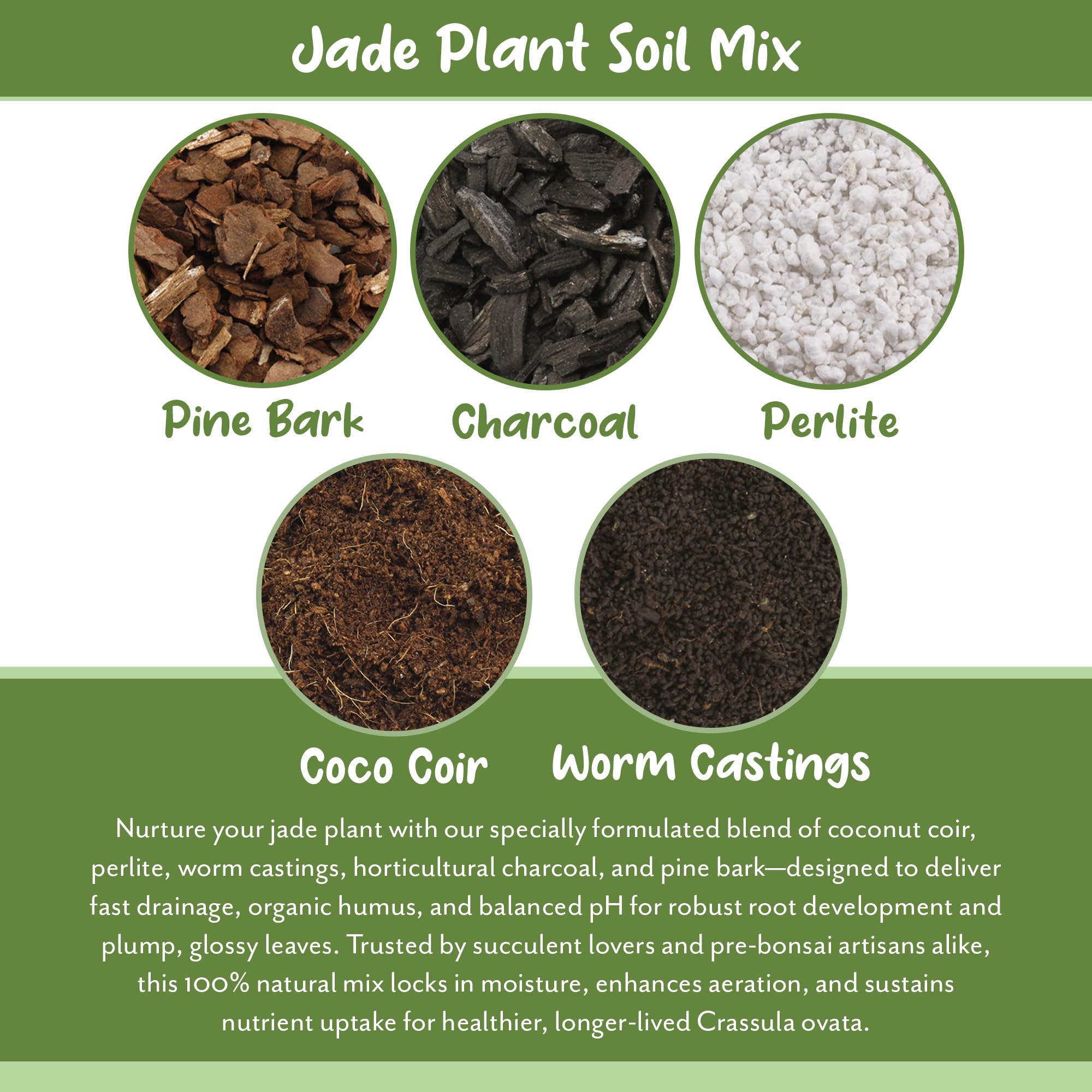 Soil Sunrise Jade mix includes worm castings for steady nutrients.