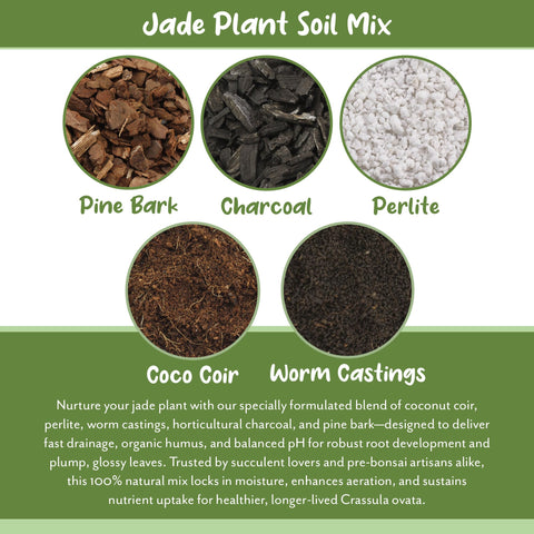 Soil Sunrise Jade mix includes worm castings for steady nutrients.
