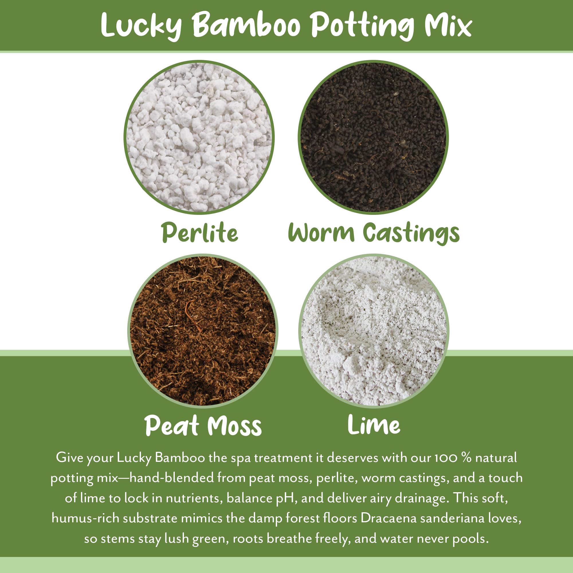 Soil Sunrise Lucky Bamboo potting mix pan and bag display packaging and measurements.