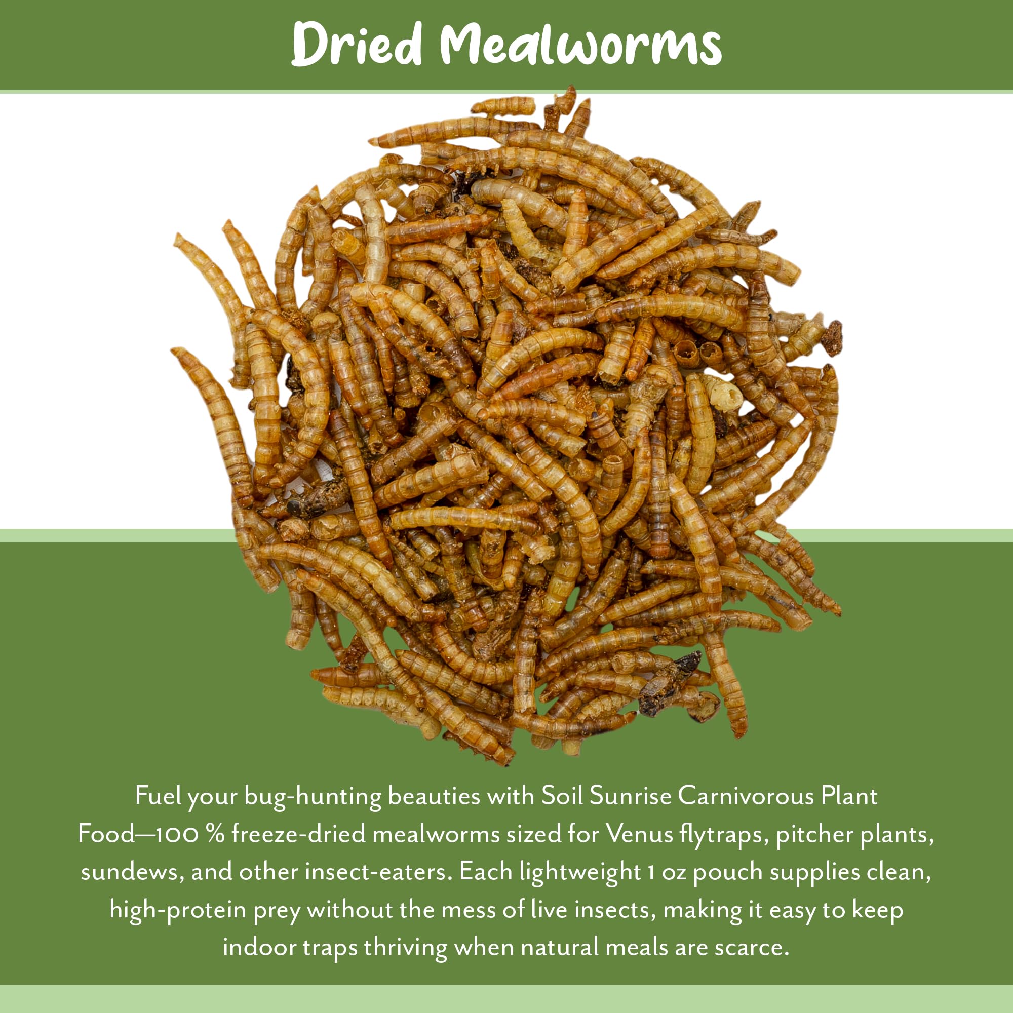 Soil Sunrise Mealworms beside a Venus Flytrap demonstrate convenient home feeding.