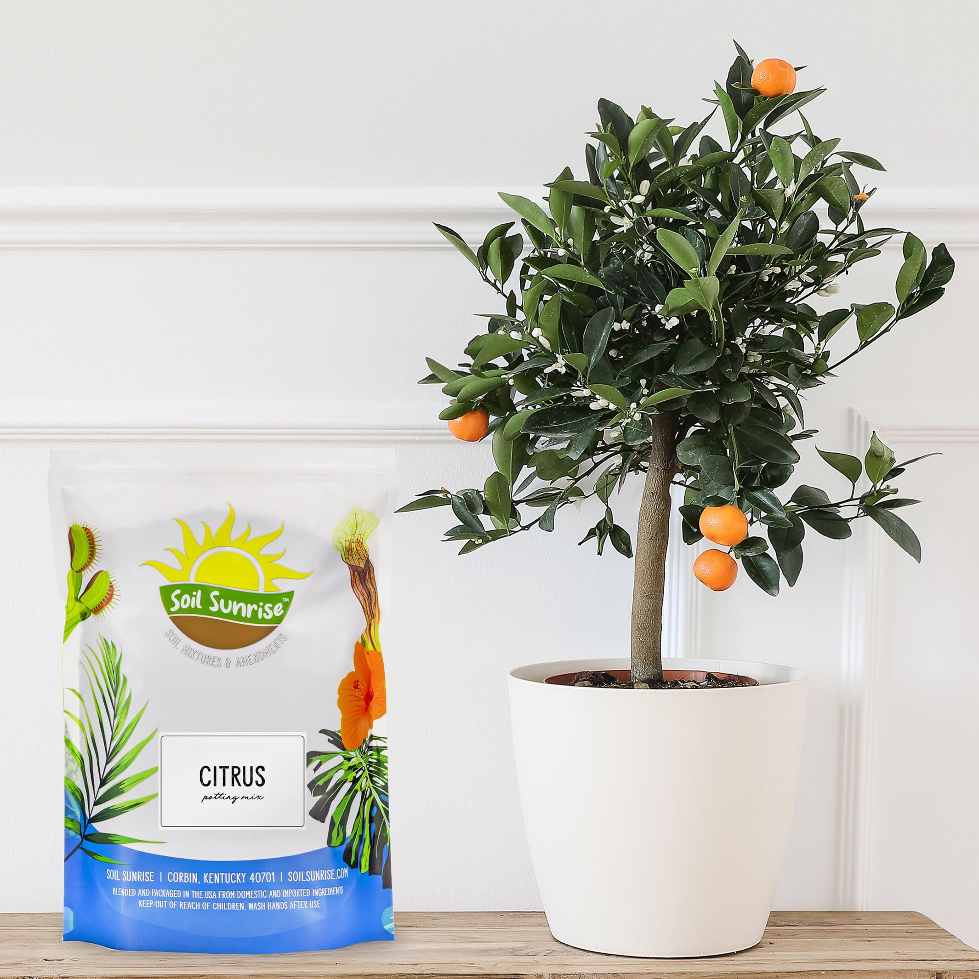 Soil Sunrise Meyer lemon in a pot benefiting from the blend.