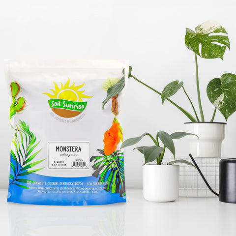 Soil Sunrise Monstera mix dry texture for airy drainage