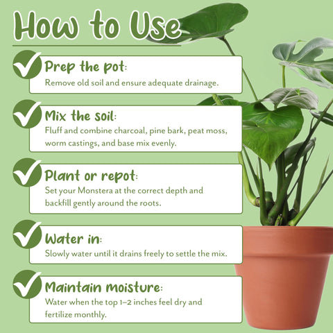 Soil Sunrise Monstera mix used in indoor Monstera container setup