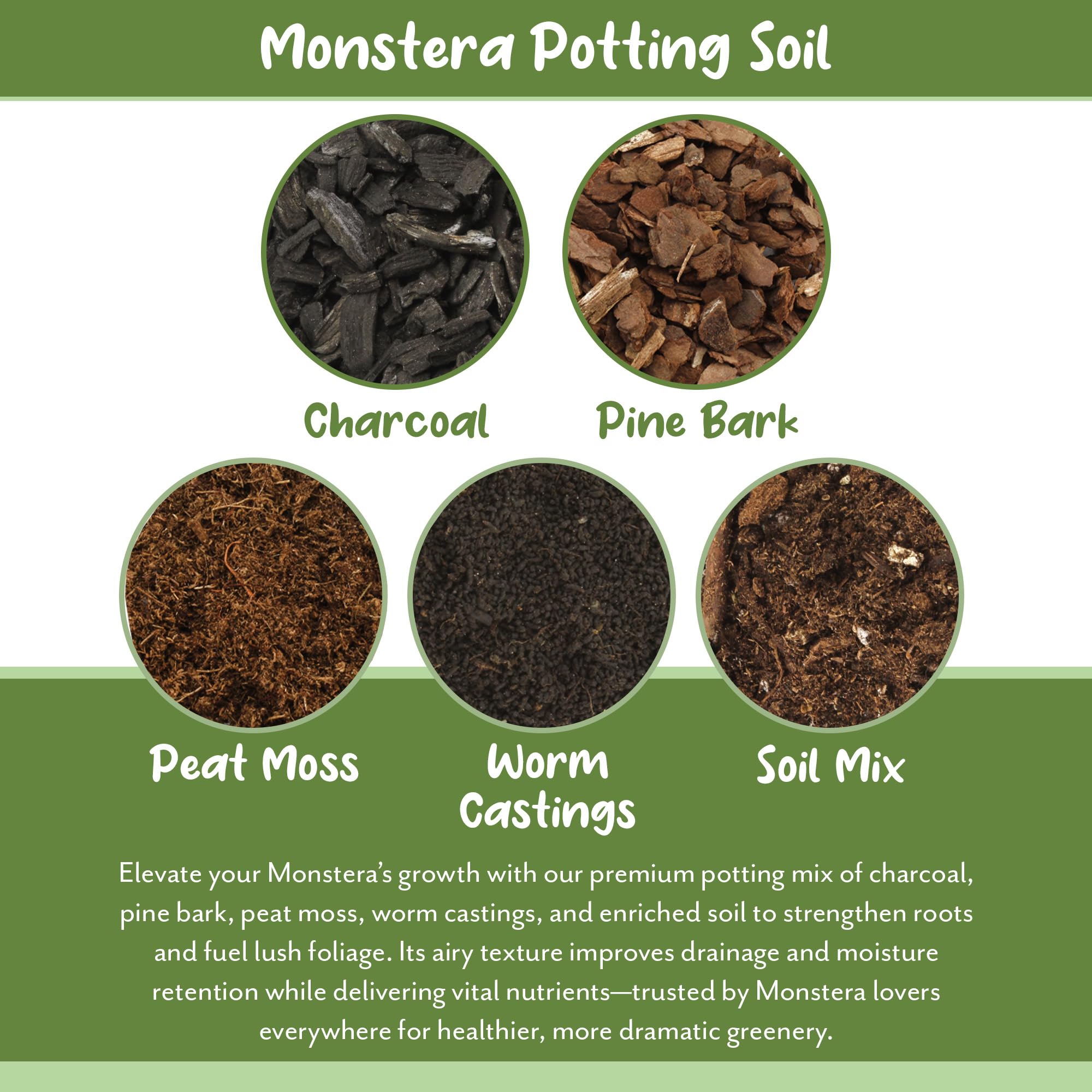 Soil Sunrise Monstera mix enriched with worm castings for organic humus