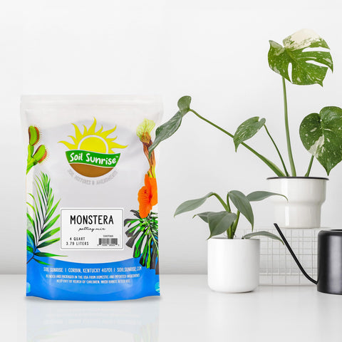 Monstera root development with Soil Sunrise mix aiding healthy growth