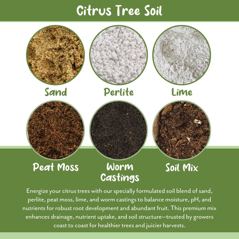 Soil Sunrise natural mix of peat, perlite, worm castings for roots.