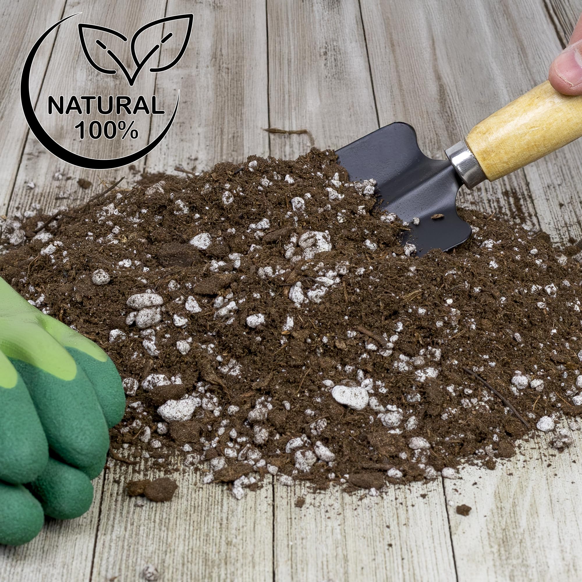 Soil Sunrise Olive Tree Potting Soil Mix garden bed alternative for container olive plants