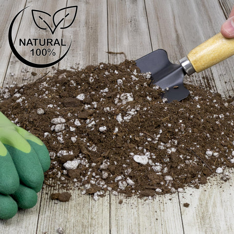 Soil Sunrise Olive Tree Potting Soil Mix garden bed alternative for container olive plants