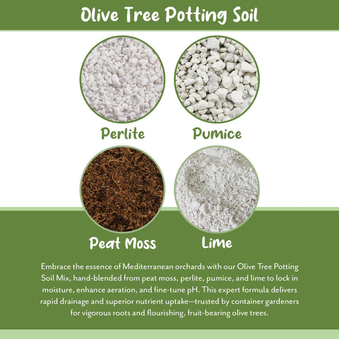 Soil Sunrise Olive Tree Potting Soil Mix product label closeup highlights 12-quart size